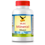 Multi Mineral MAXXI - organischer Mineralkomplex | 180 Tabs