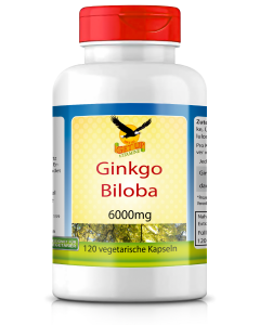 Ginkgo Biloba hier bestellen