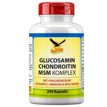 Get UP Gelenk Komplex mit Glucosamin, Chondroitin, MSM und Hyaluronsäure mit 250 Kapseln