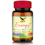 Energy hp Multi Vitamin & Mineral | 180 Kapseln | Hochdosierte Kombination von 29 Vitaminen, Mineralstoffen, Spurenelementen & Nährstoffen von A-Z | vegetarisch
