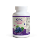 OPC Traubenkernextrakt | 120 Kapseln | Traubenkernextrakt ohne Zusatzstoffe | 140 mg Oligomere Proanthocyanidine je Kapsel | vegan