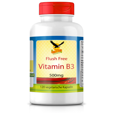Vitamin B3 Niacinamid 500mg | 120 Kapseln
