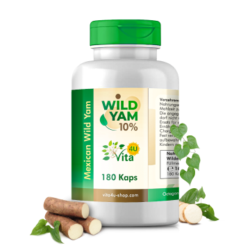 Wild Yam Wurzel 10% Extrakt | 180 Tagesrationen je 75mg Diosgenin
