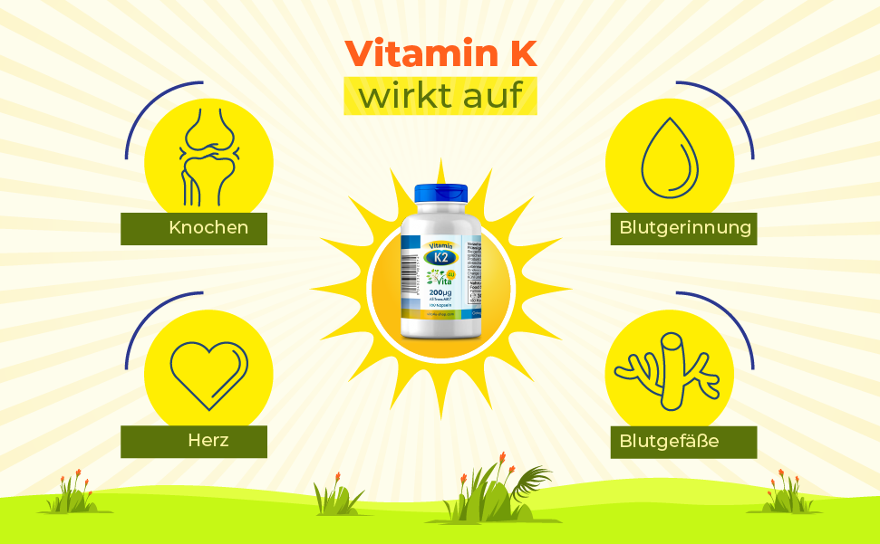 Vitamin K2 Wirkung