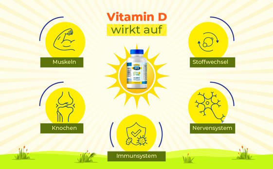 Bekannte Wirkungen von Vitamin D3