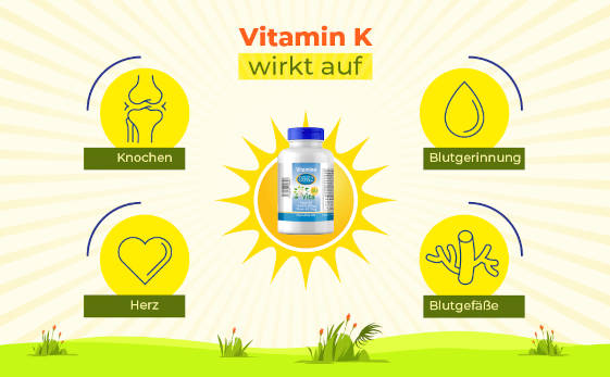 Vitamin K2 Wirkung